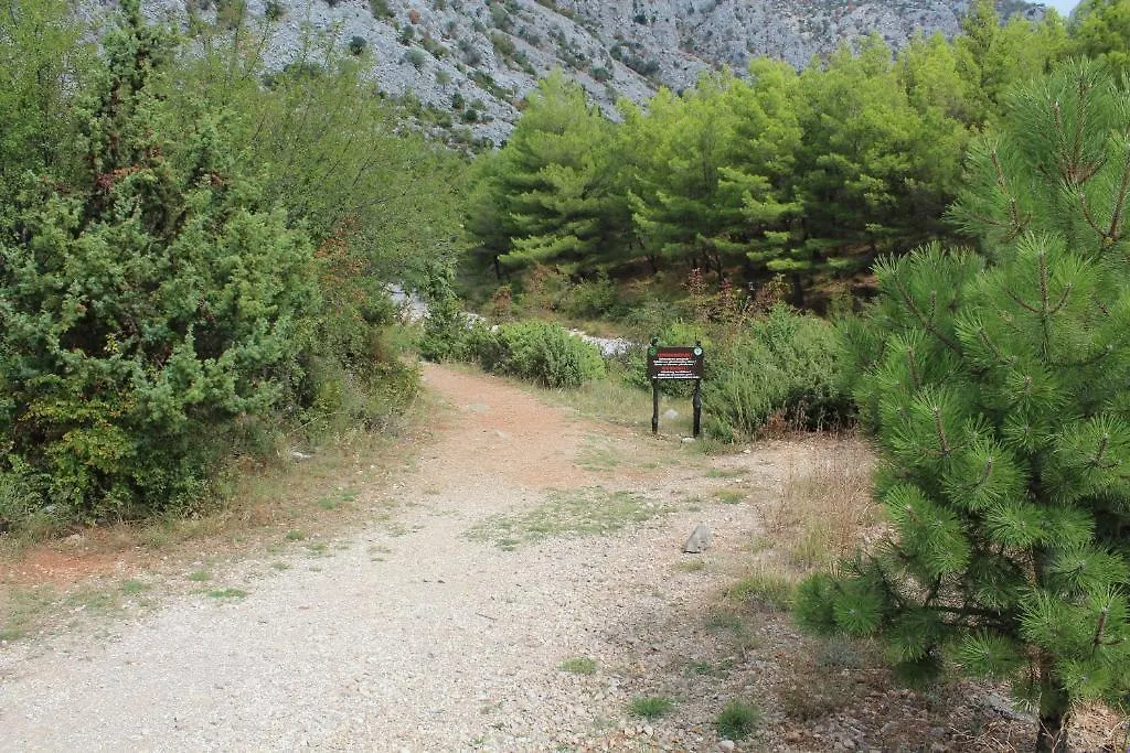 Apartments Paula Starigrad Paklenica 3*,
